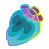 Hyper Persim Berry &times; 10